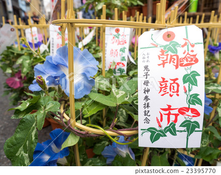 Iriya·早晨節日 23395770