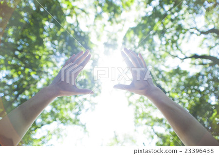 Stretched hand 23396438