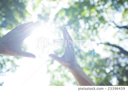 Stretched hand 23396439