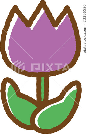 Tulip (purple) Tulip (purple) 23396586