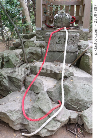 Shrine Shrine Shrine 23397887