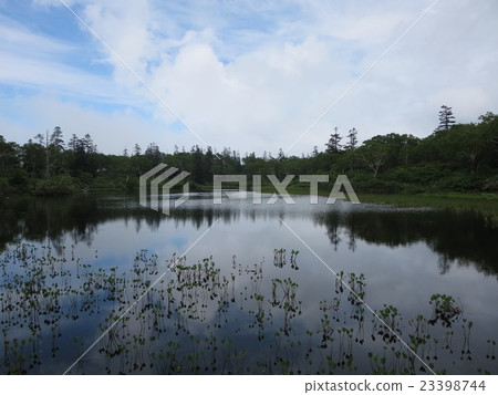 Niseko Shinsenuma Hokkaido 23398744
