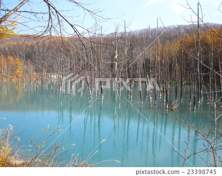 Biei pond at Biei Hokkaido 23398745