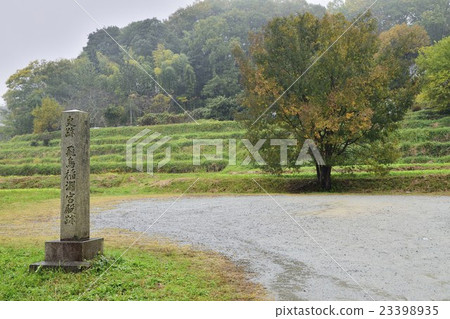 明日香稻葉宮遺址 明日香稻葉宮遺址 23398935