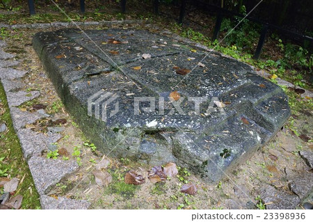 Demon's sake 23398936