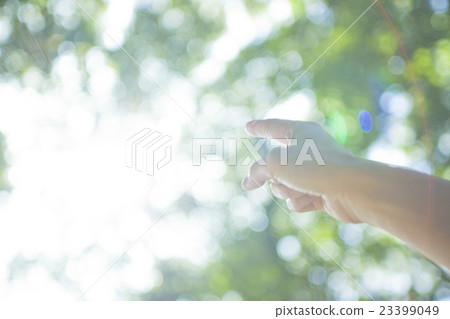 伸出的手 伸出的手 23399049