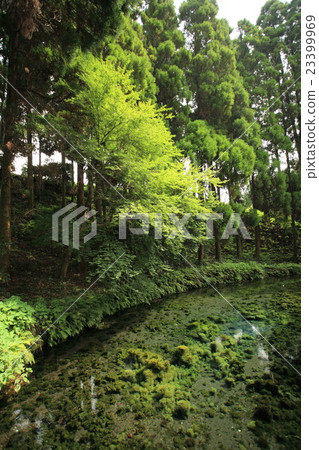 白川水源 23399969