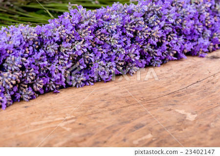 frame of lavender on a rustic wooden background frame of lavender on a rustic wooden background 23402147