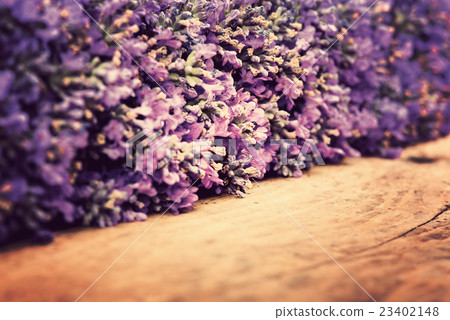 frame of lavender on a rustic wooden background frame of lavender on a rustic wooden background 23402148