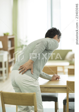 Low back pain 23403046