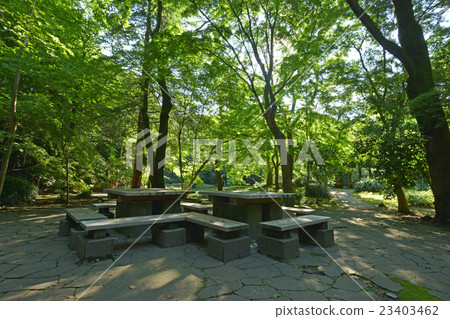 Serikaya公園 Serikaya公園 23403462