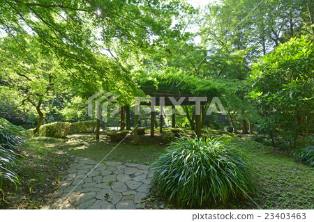 Serikaya公園 Serikaya公園 23403463