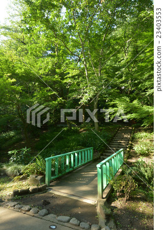 Serikaya公園 23403553