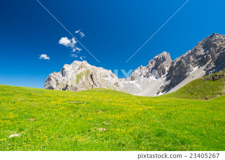 Blooming alpine meadows Blooming alpine meadows 23405267