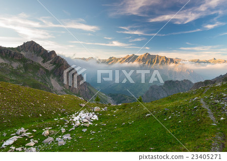 Alpine meadow and pasture Alpine meadow and pasture 23405271