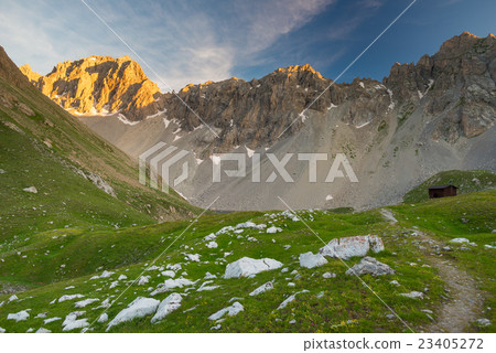 Alpine meadow and pasture Alpine meadow and pasture 23405272