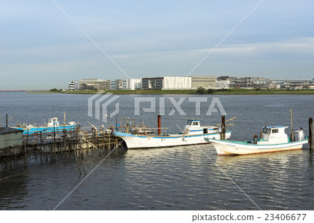 Tamagawa estuary 3 23406677