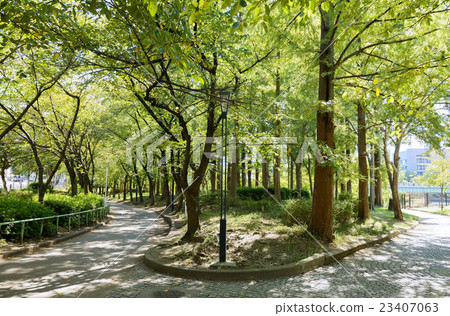 Furuma Sakuranomiya Park 23407063