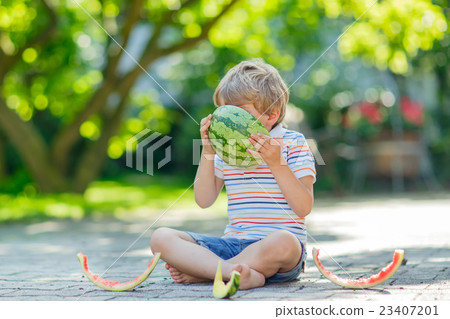 little preschool kid boy eating watermelon in little preschool kid boy eating watermelon in 23407201