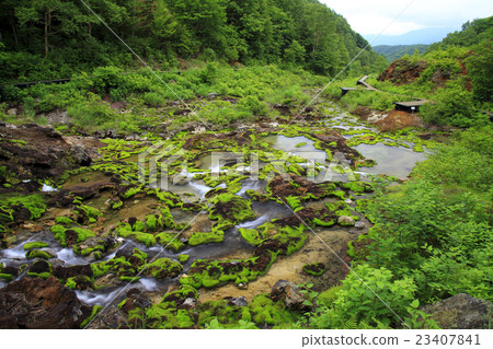 Green carpet Green carpet 23407841