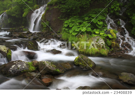 Dragon waterfall 23408839