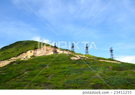 Summer's hairless pass 23411255