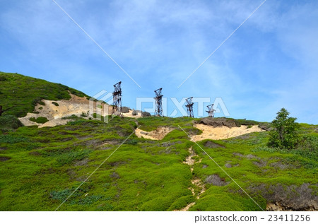 Summer's hairless pass 23411256