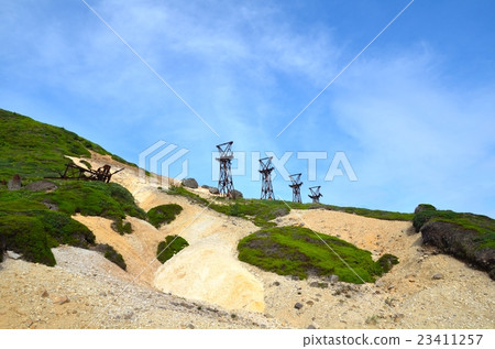 Summer's hairless pass 23411257