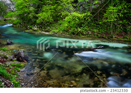 soteska Vintgar in the river Radovna 23412330