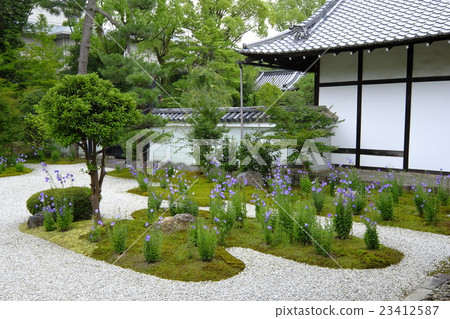 Kikyo寺 23412587