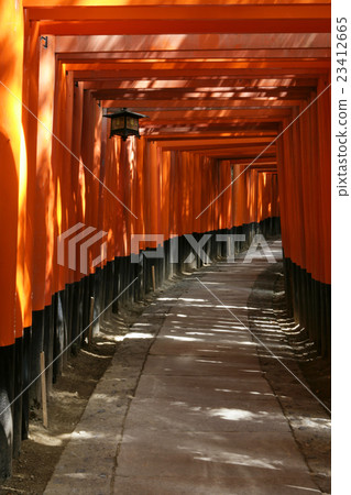 Fushimi-Inari Taisha Fushimi-Inari Taisha 23412665