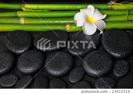 spa setting of zen basalt stones, white frangipani spa setting of zen basalt stones, white frangipani 23413319