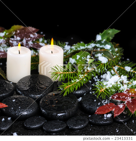 winter spa concept of zen basalt stones, evergreen 23413331