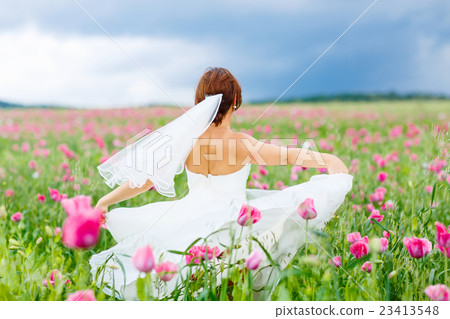 happy bride in white dress having fun in flower happy bride in white dress having fun in flower 23413548