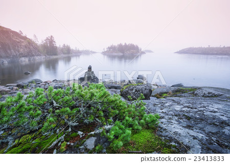 Juniper bush on stone beach 23413833