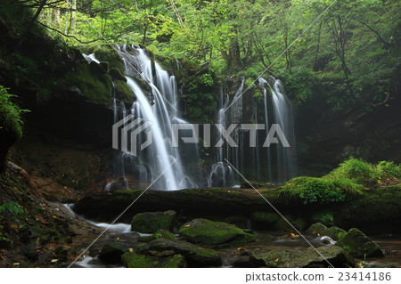 Monkey Falls Monkey Falls 23414186