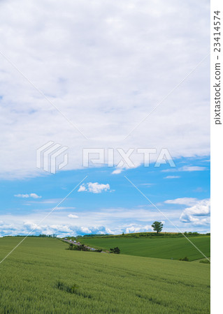 Hokkaido Hokkaido 23414574