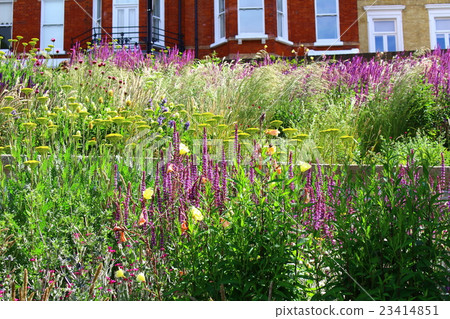 Traveling in London 172: Colored textures of flowers and plants Part 133 23414851