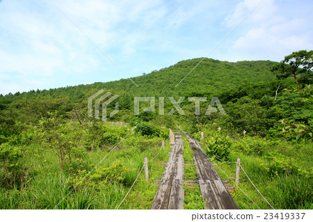 夏日早晨雨濛古的長廊 夏日早晨雨濛古的長廊 23419337