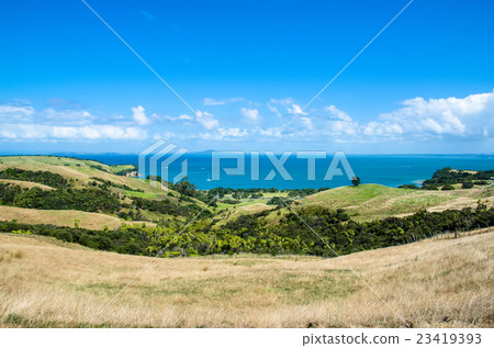 Shakespear Regional Park, New Zealand Shakespear Regional Park, New Zealand 23419393