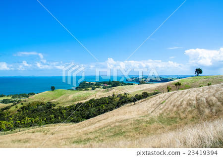 Shakespear Regional Park, New Zealand Shakespear Regional Park, New Zealand 23419394