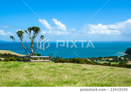 Shakespear Regional Park, New Zealand 23419395