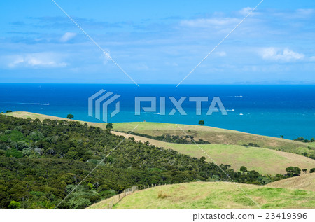 Shakespear Regional Park, New Zealand 23419396