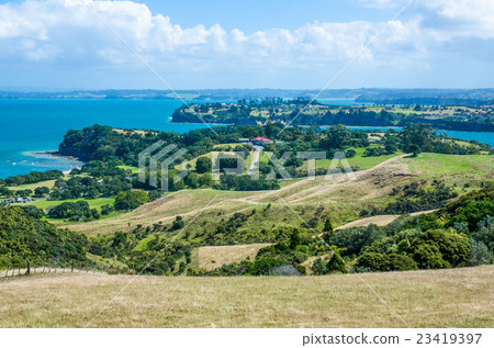 Shakespear Regional Park, New Zealand Shakespear Regional Park, New Zealand 23419397