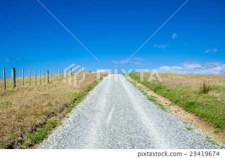 Pathway in the Shakespear Regional Park, Auckland Pathway in the Shakespear Regional Park, Auckland 23419674