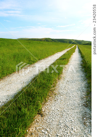 白色路徑北海道 白色路徑北海道 23420558