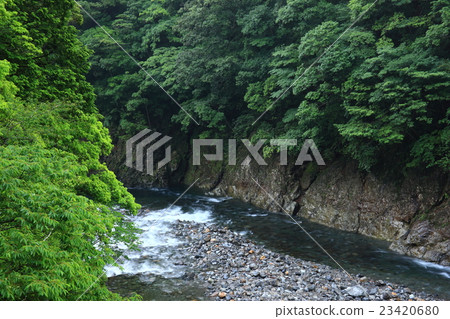 從Osugiya 從Osugiya 23420680