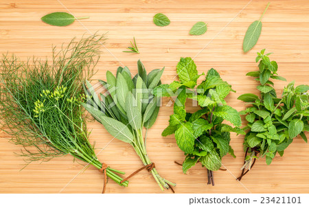 Various aromatic herbs and spices from garden  . 23421101