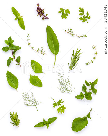 Various fresh herbs from the garden . 23421343