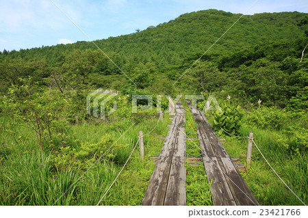 Mawahara Mire在夏天 23421766